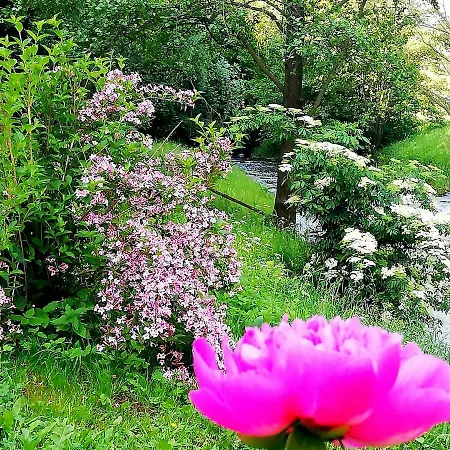 W Starym Mlynie Agroturismo