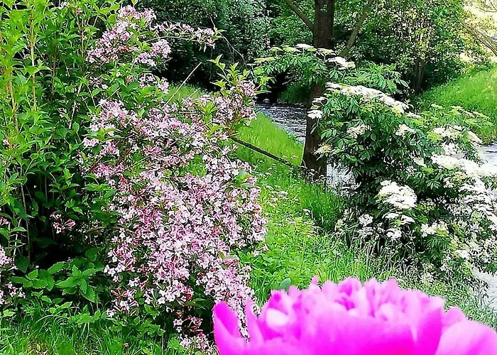 W Starym Mlynie Farm stay